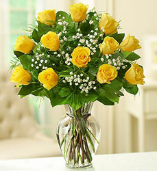 Premium Long Stem Yellow Roses Davenport Florist - Same Day Flower Delivery - Flower Power 